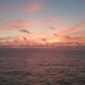 Meet your Posher, Carla